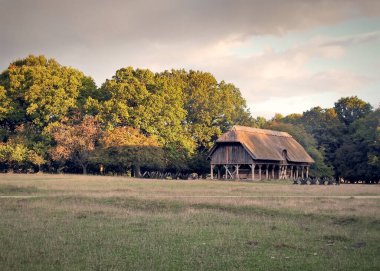 KLAMPENBORG, DENMARK - ECTOBER 03, 2020: Dyrehaven beslenme istasyonu parkta yaşayan 2000 'den fazla serbest geyik için.