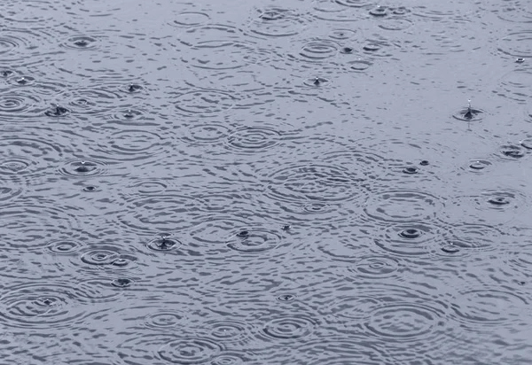 Kręgi Wodzie Przez Krople Deszczu — Zdjęcie stockowe