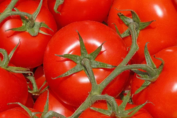 close up of red tomatoes on market