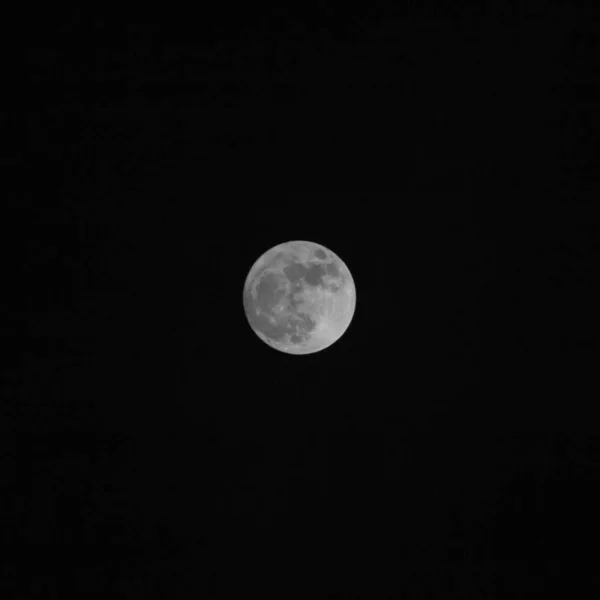 Czarno Białe Zdjęcie Księżyca — Zdjęcie stockowe