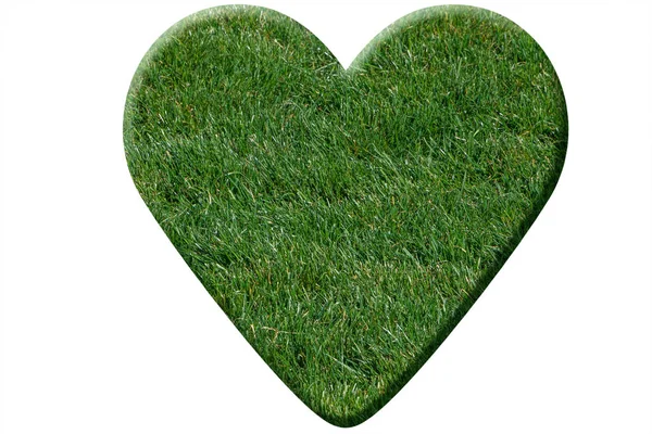 Yeşil Çim Üzerinde Beyaz Izole Kalp Yapılmış — Stok fotoğraf