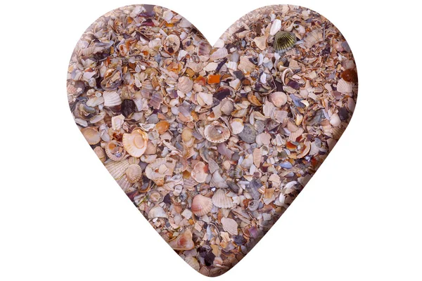 Heart Made Seashells Isolated White — Stock Photo, Image