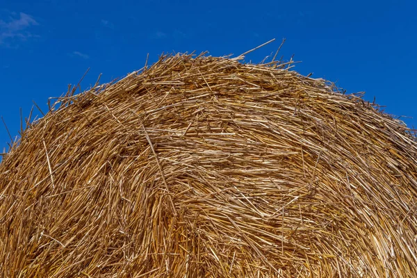 Close Stack Straw Blue Sky — Stock Photo, Image