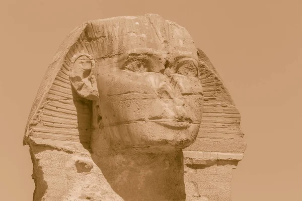 Zbliżenie Głowę Wielki Sfinks Giza Egipt — Zdjęcie stockowe