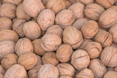 yığın ceviz piyasada yakın çekim