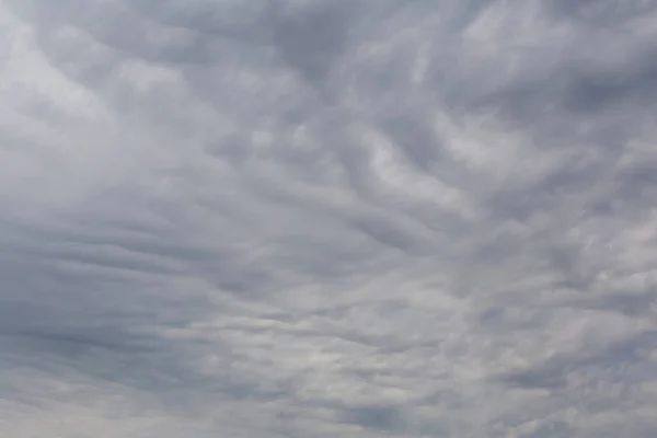 sky covered with gray clouds