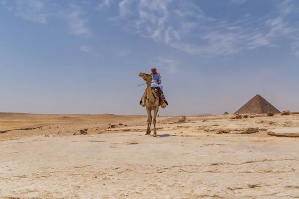 Cairo Egito Maio 2017 Homem Árabe Camelo Complexo Pirâmide Gizé — Fotografia de Stock