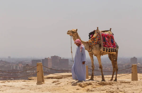 Cairo Egito Maio 2017 Homem Árabe Com Camelo Complexo Piramidal — Fotografia de Stock