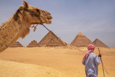 Cairo, Mısır - 22 Mayıs 2017: deve Giza Piramidi Kahire karmaşık sürüş Arap adam