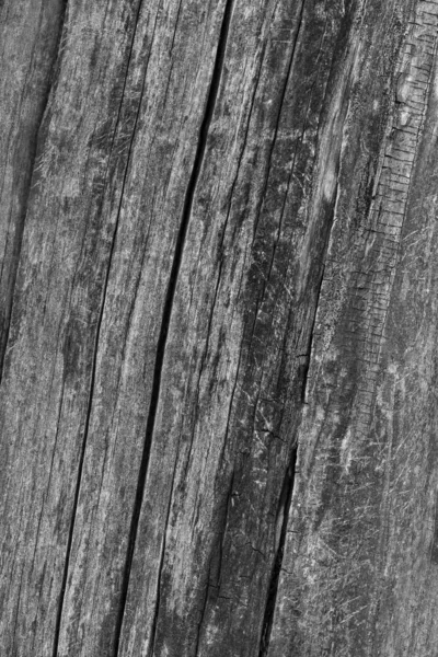 Close Old Wooden Fence — Stock Photo, Image