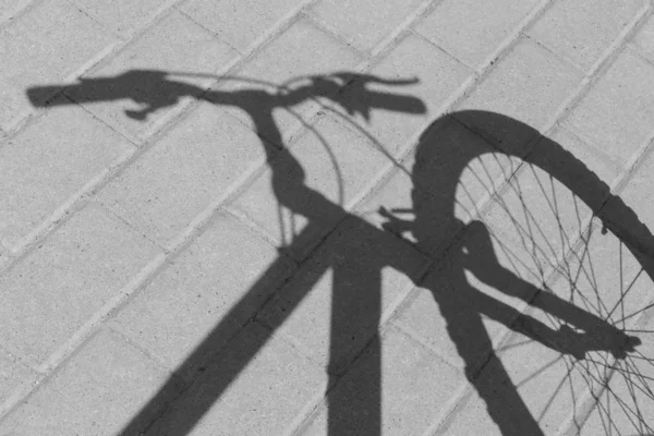 Zwart Wit Foto Van Schaduw Van Stem Voorwiel Van Fiets — Stockfoto