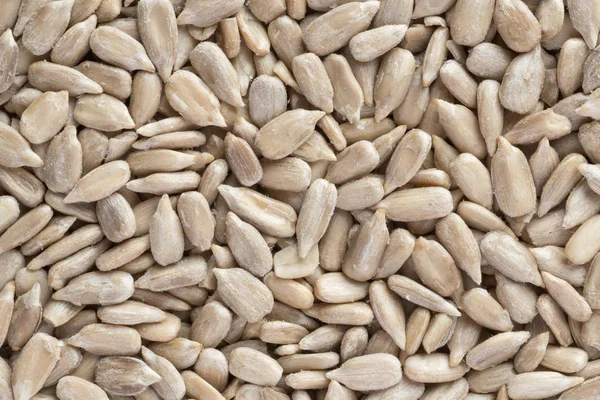 close up of refined sunflower grains background