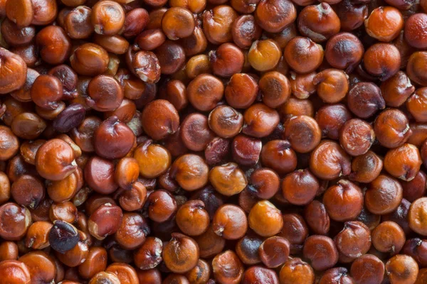 Kırmızı Quinoa Tohumları Arka Plan Yakın — Stok fotoğraf