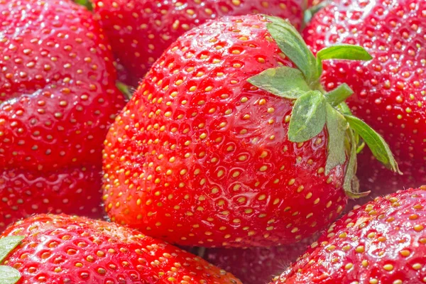 Close Red Strawberries — Stock Photo, Image