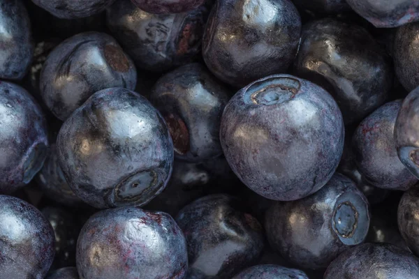 Close Heap Bilberries — Stock Photo, Image