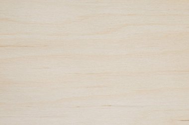 abstract natural backdrop: close up of beige wooden plank texture