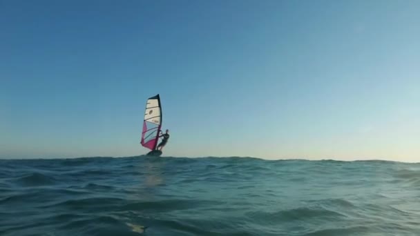 Desportista jovem windsurf e folha de vento monta XXXX com o pôr do sol brilhando na superfície da água — Vídeo de Stock