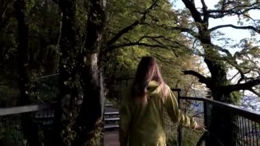 Alınan ters orman Eko parça tarafından kız yürüyor. Sarı hiking ceket giymiş kadın sıcak güneşin sonbahar ormanında yürüyüş.