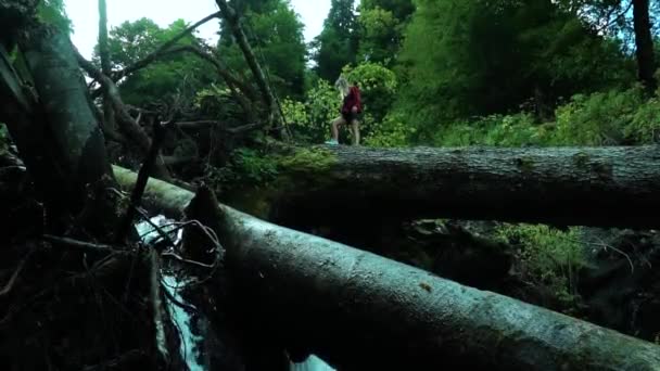 Pequeña figura de mujer joven y deportiva vestida con camisa a cuadros roja se encuentra en un enorme árbol caído por encima de la cascada, composición de perspectiva de volumen — Vídeo de stock