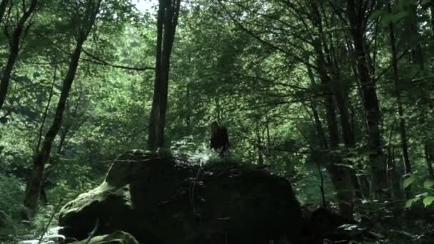 Kleine figuur van een sportieve jonge vrouw komt uit het dikke groene zomer bos naar een lichtovergoten enorme steen en geniet van het zonlicht — Stockvideo