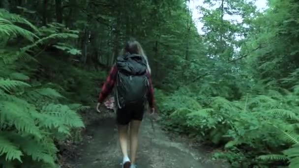 Para trás da jovem com cabelo loiro queimado pelo sol vestido camisa xadrez vermelho, que caminha com mochila na floresta verde profunda — Vídeo de Stock