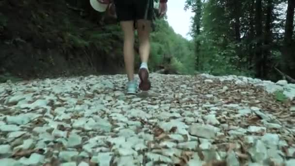 頭に靴から撮影した夏の森の白い石畳のトラックで流行に敏感な若い女の子ハイキング — ストック動画