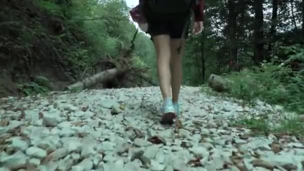 Young cute girl turns around and smile while hike by white cobblestones track in the summer forest, taken from the shoes to the head — Stock Video