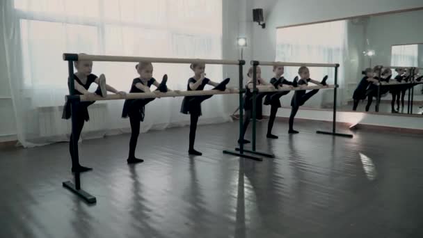 Vista lateral de las pequeñas bailarinas son estirar las piernas en la barra de ballet — Vídeo de stock