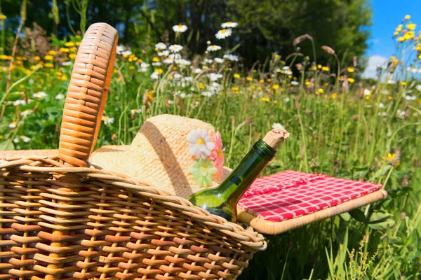 麦わら帽子とヒナギク夏お花畑でピクニック バスケット — ストック写真