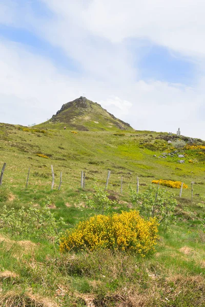 Grönt Landskap Franska Auvergne Massif Sancy Puy Dome — Stockfoto