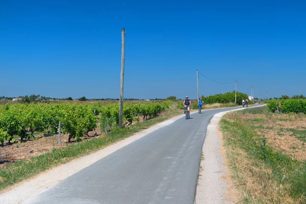 Ile France Juni 2018 Fahrräder Auf Der Insel Ile Juni — Stockfoto