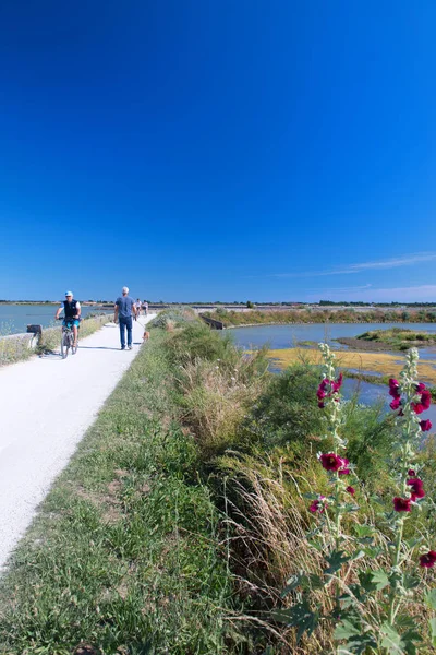 Ile France Haziran 2018 Ada Ile Üzerinde Haziran 2018 Bisiklet — Stok fotoğraf