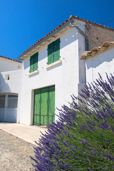 Ile Casa Blanca Lavanda Aldea Loix — Foto de Stock