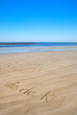 Ile de Re Hollyhocks ve yeşil panjurlar ile beyaz ev