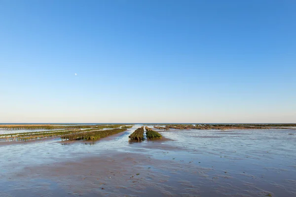 Ile Paisaje Con Orillas Ostras Mar — Foto de Stock