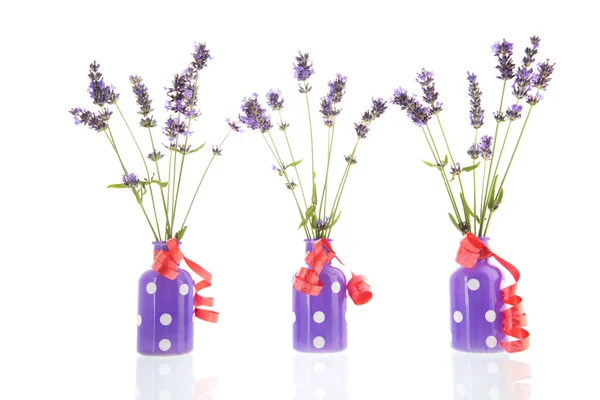 French Lavender Little Vases Isolated White Background — Stock Photo, Image