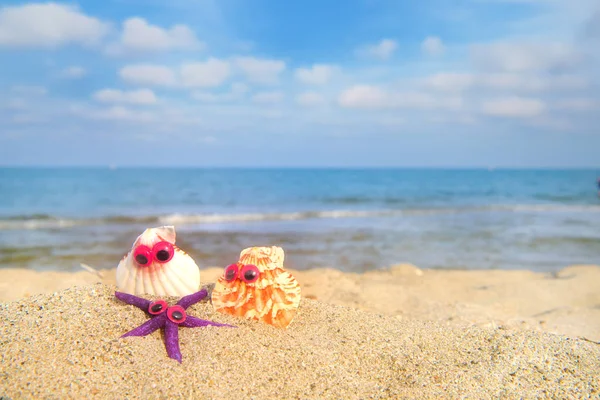 Смішні Мушлі Очима Пляжі Морем Задньому Плані — стокове фото