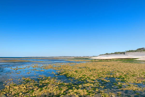 Ile Costa Norte Cerca Del Faro — Foto de Stock