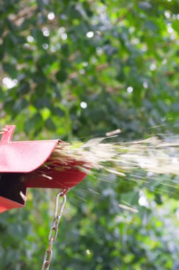 Kırmızı parçalayıcı doğada çalışma