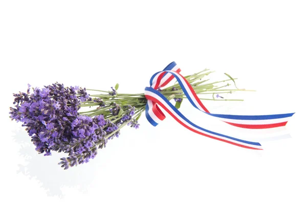 Boeket Paarse Lavendel Met Lint Rood Blauw Wit Geïsoleerd Witte — Stockfoto