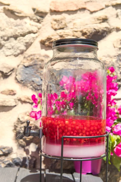 Het Maken Van Rode Aalbessen Likeur Met Fruit Suiker Alcohol — Stockfoto