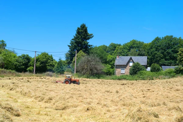 Draaien Van Oogst Gras Het Gebied Zomer — Stockfoto