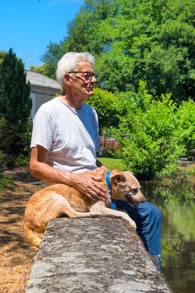 Hombre Mayor Con Perro Raza Cruzada Sentado Pared Lago Francia — Foto de Stock