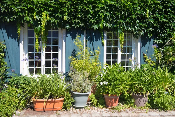 Jardín Aire Libre Frente Casa Macetas — Foto de Stock