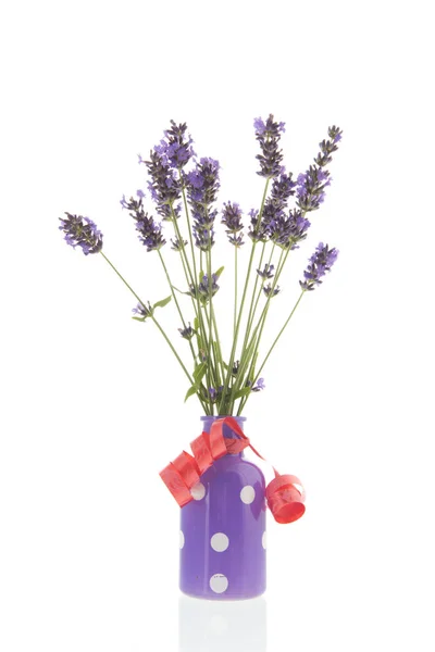 Bouquet Lila Lavendel Kleiner Flaschenvase Isoliert Über Weißem Hintergrund — Stockfoto