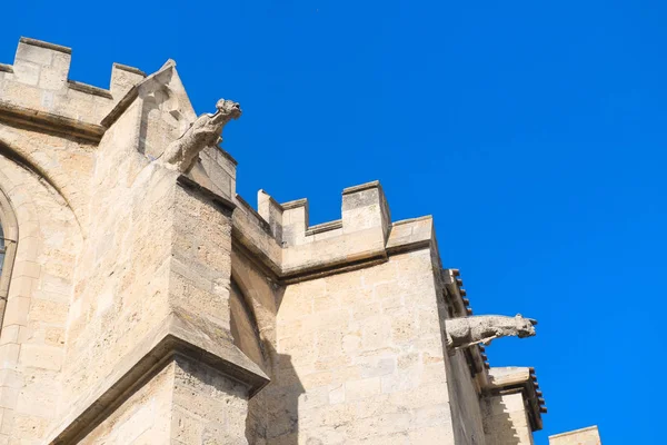 Detail Cathedral Cathdrale Saint Just Saint Pasteur Narbonne — Stock Photo, Image