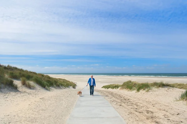 男はオランダの島のビーチで犬を歩く Terschelling — ストック写真