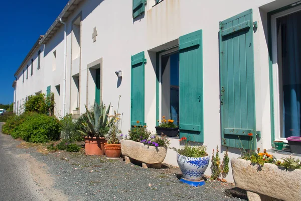 Jardin Extérieur Devant Maison Pots — Photo