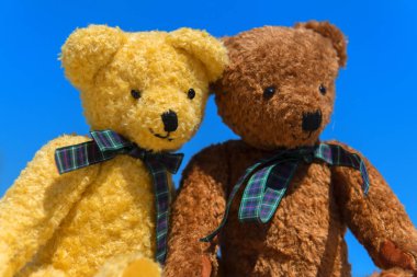 Mavi gökyüzünün önündeki iki oyuncak ayı portresi