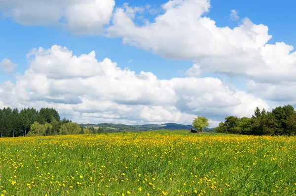 Typisch Landelijke Landschap Franse Limousin — Stockfoto